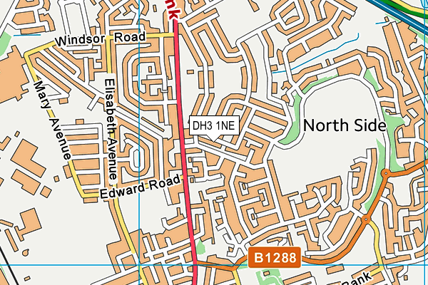 DH3 1NE map - OS VectorMap District (Ordnance Survey)