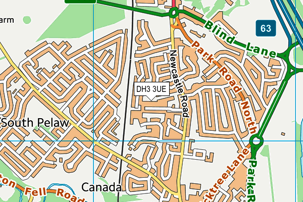 DH3 3UE map - OS VectorMap District (Ordnance Survey)