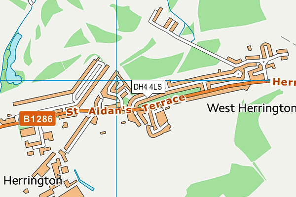 DH4 4LS map - OS VectorMap District (Ordnance Survey)