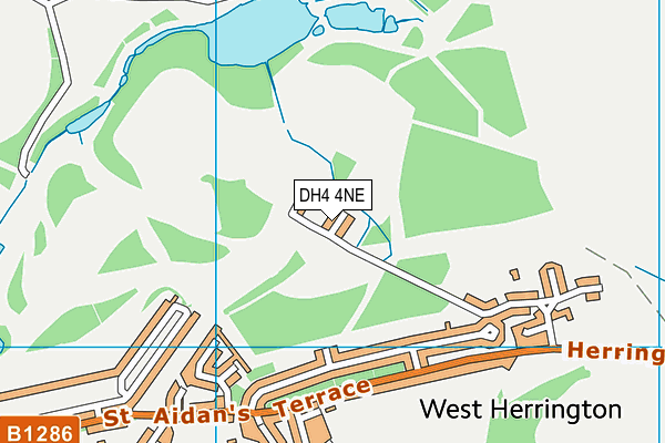 DH4 4NE map - OS VectorMap District (Ordnance Survey)