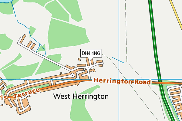 DH4 4NG map - OS VectorMap District (Ordnance Survey)