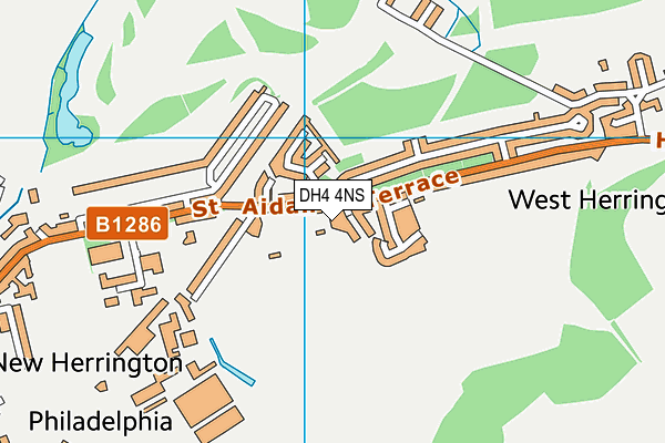 DH4 4NS map - OS VectorMap District (Ordnance Survey)
