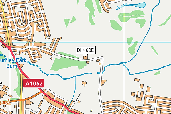 DH4 6DE map - OS VectorMap District (Ordnance Survey)
