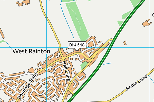 DH4 6NS map - OS VectorMap District (Ordnance Survey)