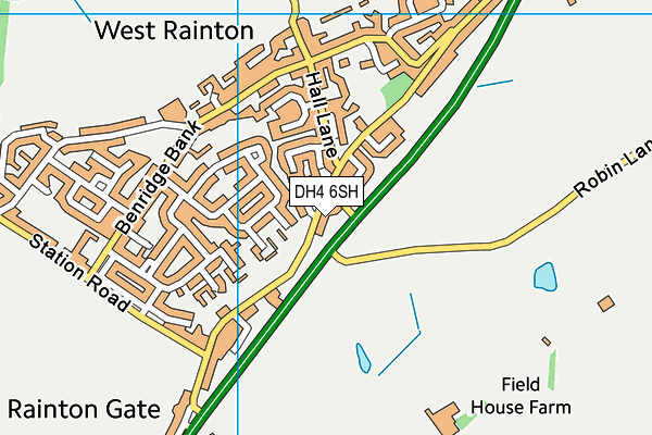 DH4 6SH map - OS VectorMap District (Ordnance Survey)