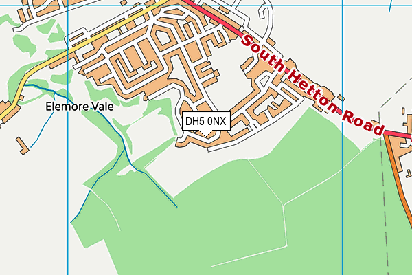 DH5 0NX map - OS VectorMap District (Ordnance Survey)