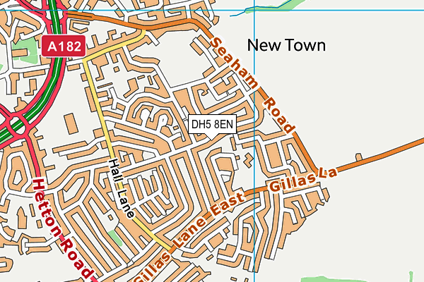 DH5 8EN map - OS VectorMap District (Ordnance Survey)