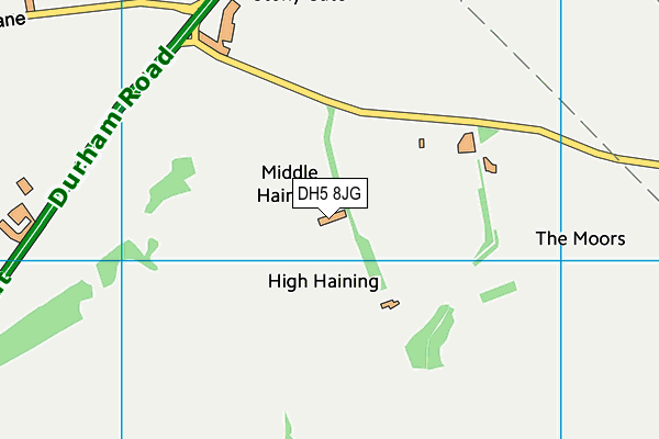 DH5 8JG map - OS VectorMap District (Ordnance Survey)