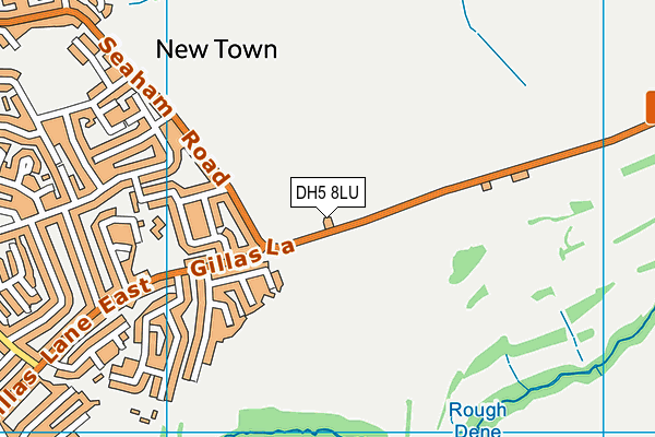DH5 8LU map - OS VectorMap District (Ordnance Survey)