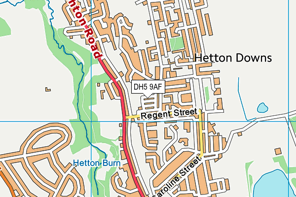 DH5 9AF map - OS VectorMap District (Ordnance Survey)