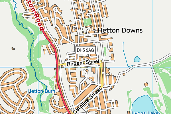 DH5 9AG map - OS VectorMap District (Ordnance Survey)