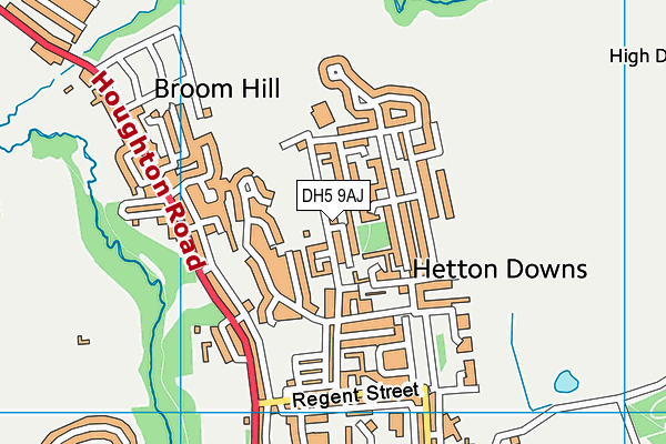 Eppleton Academy Primary School map (DH5 9AJ) - OS VectorMap District (Ordnance Survey)