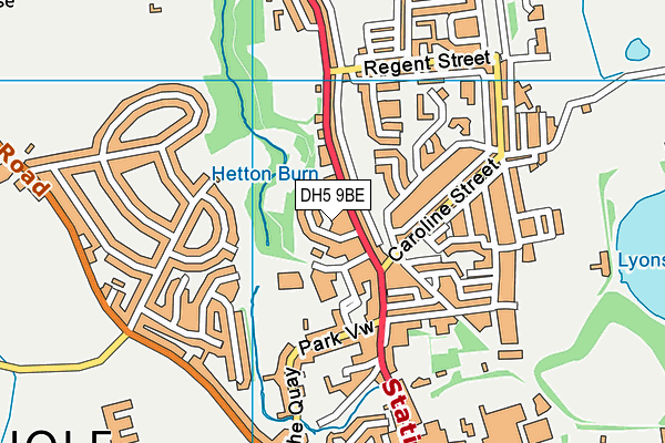 DH5 9BE map - OS VectorMap District (Ordnance Survey)