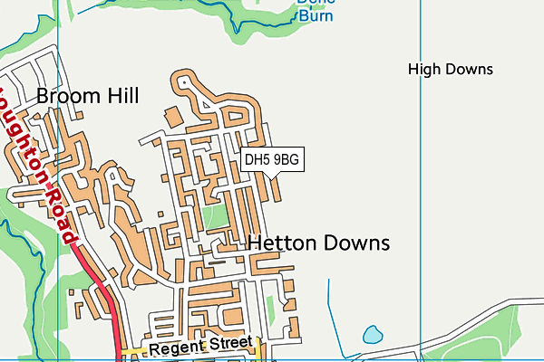 DH5 9BG map - OS VectorMap District (Ordnance Survey)