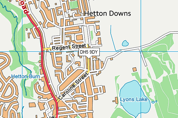 DH5 9DY map - OS VectorMap District (Ordnance Survey)