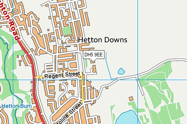 DH5 9EE map - OS VectorMap District (Ordnance Survey)