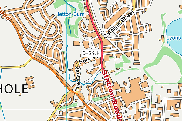 DH5 9JH map - OS VectorMap District (Ordnance Survey)