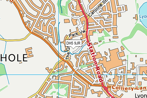 DH5 9JR map - OS VectorMap District (Ordnance Survey)