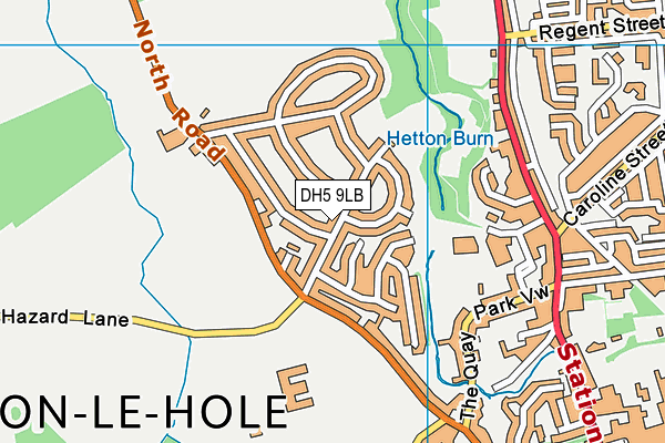 DH5 9LB map - OS VectorMap District (Ordnance Survey)
