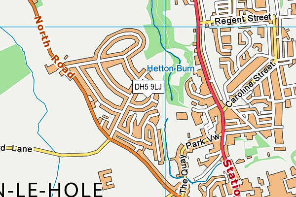 DH5 9LJ map - OS VectorMap District (Ordnance Survey)