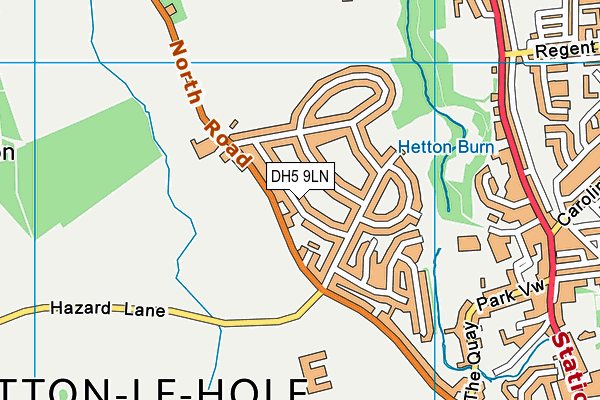 DH5 9LN map - OS VectorMap District (Ordnance Survey)