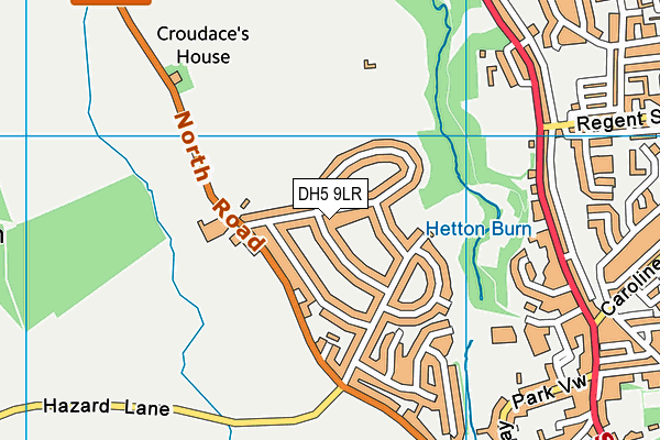 DH5 9LR map - OS VectorMap District (Ordnance Survey)