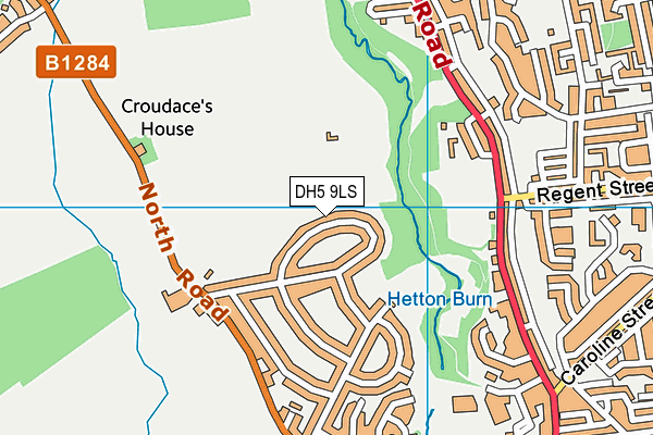 DH5 9LS map - OS VectorMap District (Ordnance Survey)