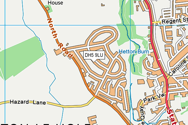 DH5 9LU map - OS VectorMap District (Ordnance Survey)