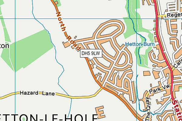 DH5 9LW map - OS VectorMap District (Ordnance Survey)