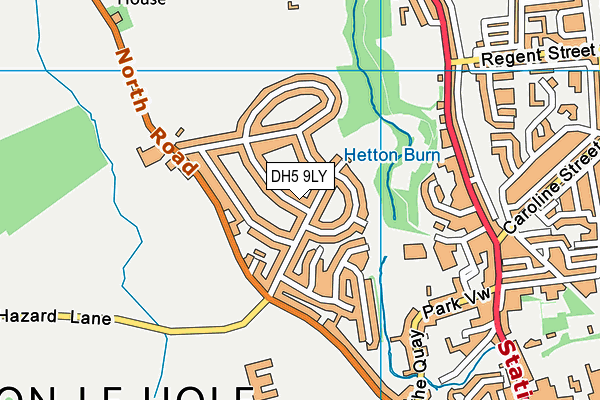 DH5 9LY map - OS VectorMap District (Ordnance Survey)