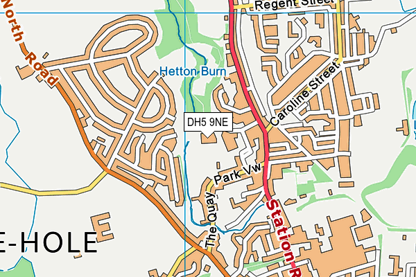 DH5 9NE map - OS VectorMap District (Ordnance Survey)
