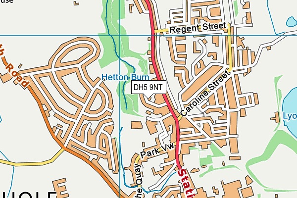 DH5 9NT map - OS VectorMap District (Ordnance Survey)
