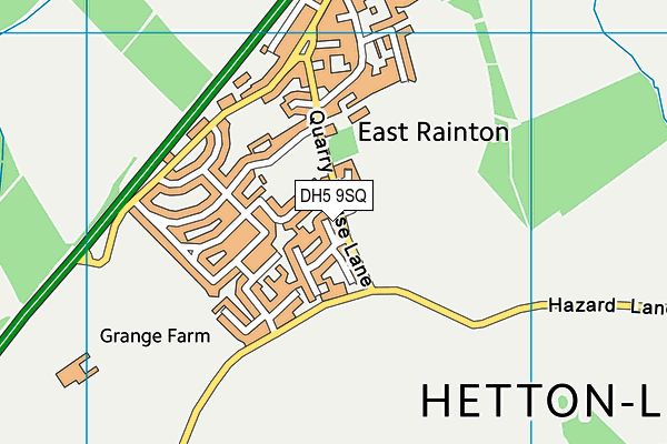 DH5 9SQ map - OS VectorMap District (Ordnance Survey)