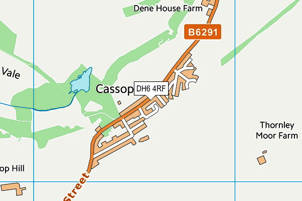 DH6 4RF map - OS VectorMap District (Ordnance Survey)