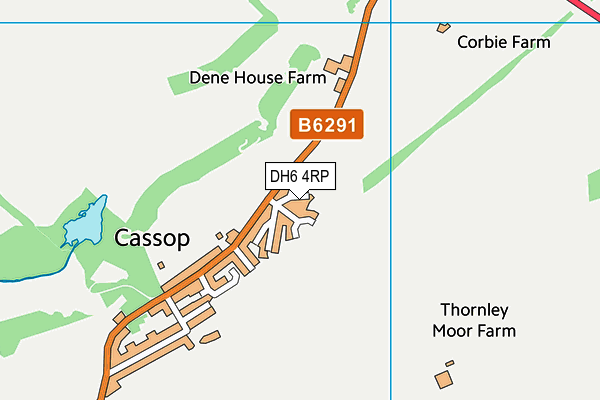 DH6 4RP map - OS VectorMap District (Ordnance Survey)