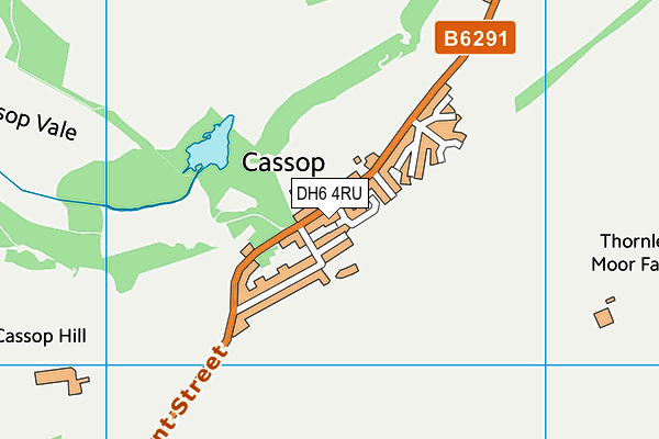 DH6 4RU map - OS VectorMap District (Ordnance Survey)