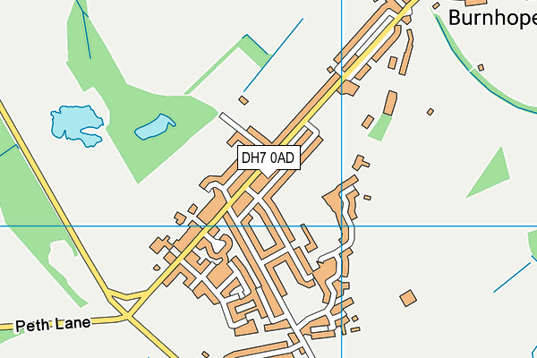 DH7 0AD map - OS VectorMap District (Ordnance Survey)