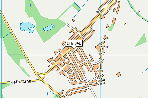 DH7 0AE map - OS VectorMap District (Ordnance Survey)