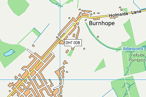 DH7 0DB map - OS VectorMap District (Ordnance Survey)