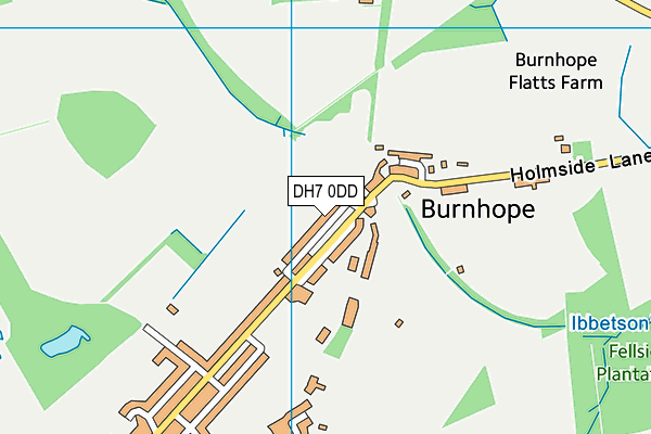 DH7 0DD map - OS VectorMap District (Ordnance Survey)