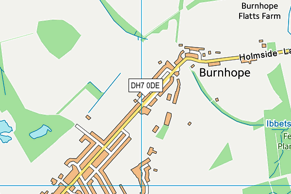 DH7 0DE map - OS VectorMap District (Ordnance Survey)