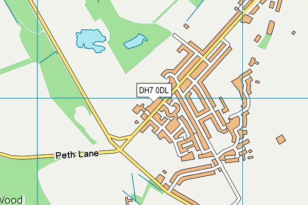 DH7 0DL map - OS VectorMap District (Ordnance Survey)