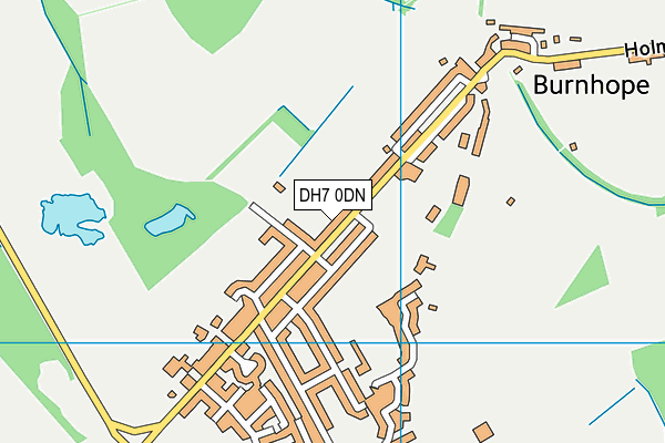 DH7 0DN map - OS VectorMap District (Ordnance Survey)