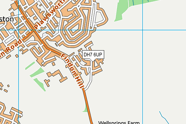 DH7 6UP map - OS VectorMap District (Ordnance Survey)