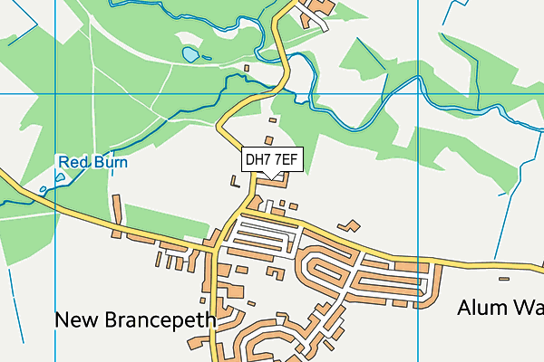 DH7 7EF map - OS VectorMap District (Ordnance Survey)