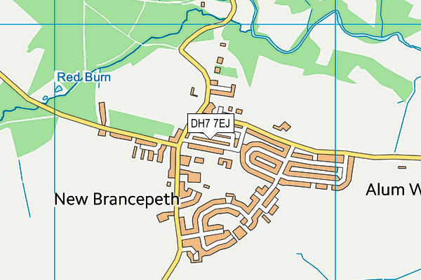 DH7 7EJ map - OS VectorMap District (Ordnance Survey)