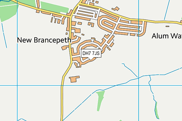DH7 7JS map - OS VectorMap District (Ordnance Survey)