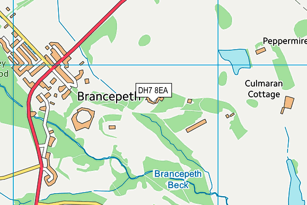 Brancepeth Castle Golf Club Ltd map (DH7 8EA) - OS VectorMap District (Ordnance Survey)