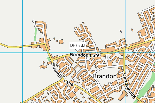 DH7 8SJ map - OS VectorMap District (Ordnance Survey)