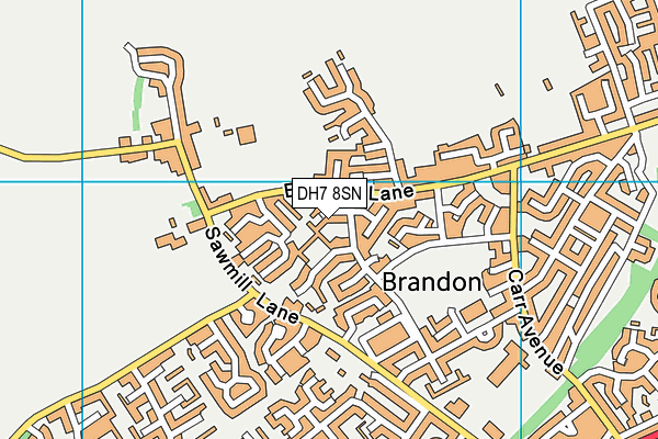 DH7 8SN map - OS VectorMap District (Ordnance Survey)
